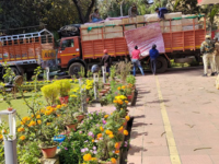 Professional movers packing household items in cardboard boxes